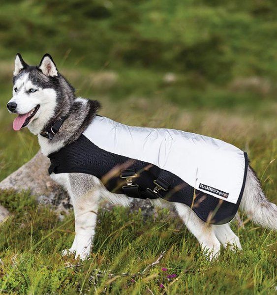 Horseware Ireland Derka dla psa RAMBO SPORT odblaskowa - HORSEWARE