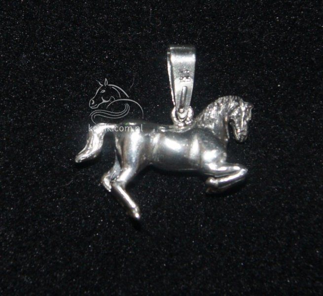 Wróbel Wisiorek końska głowa