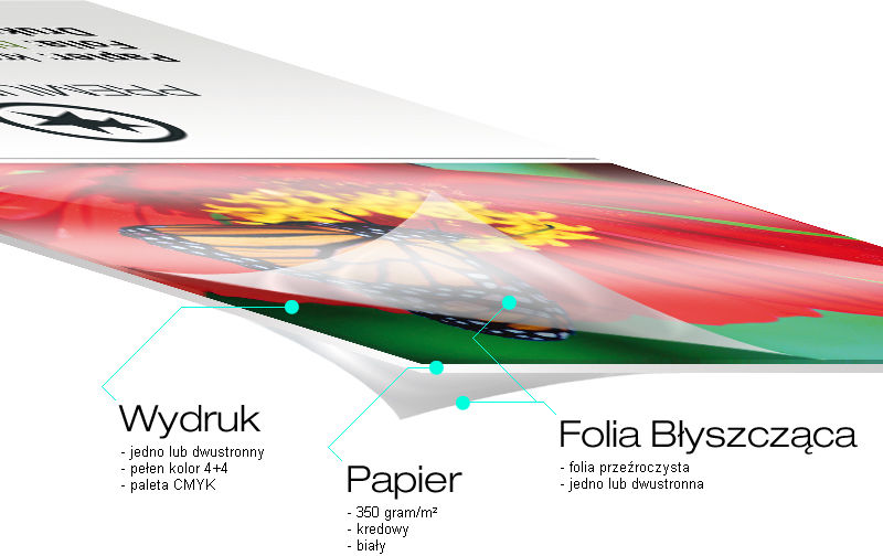 Veraprint Wizytówki PREMIUM BŁYSK 300 szt.