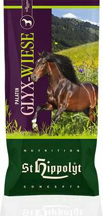 ST HIPPOLYT Sieczka Palatin Glyx-Wiese Musli 15 kg-