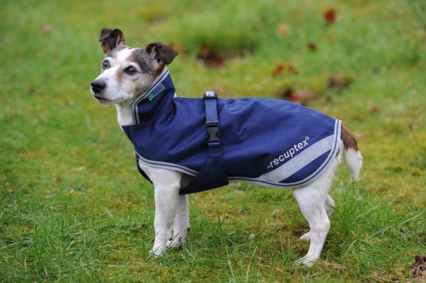BUCAS Derka dla psa Recuptex Therapy - navy/orange