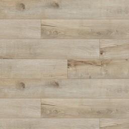 Classen Trend 4V Panele podłogowe Dąb Goldap AC5 8mm 52600 wodoodporne