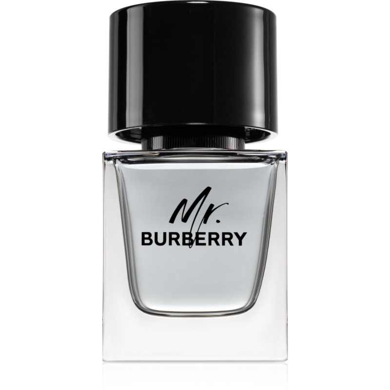 Mr Burberry - Woda Toaletowa