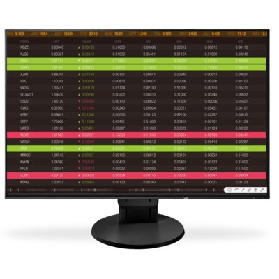 Eizo FlexScan EV2456-BK 24,1