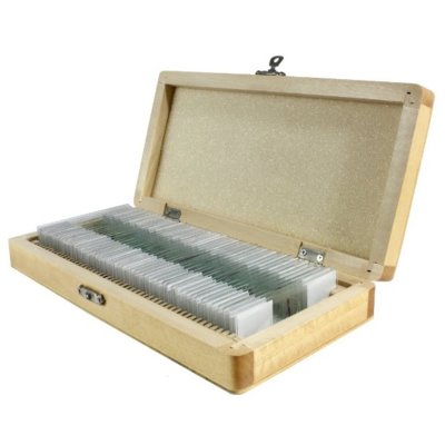 Delta Optical DeltaOptical DeltaOptical Zestaw preparatów biologicznych DO-4101 50 szt.)