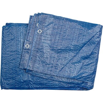 Vorel Plandeka 85128 6 x 10 m)