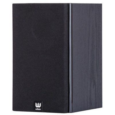 Wilson RAPTOR MINI  czarny 2 szt.