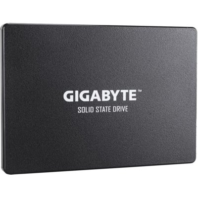 Gigabyte GP-GSTFS31256GTND 2