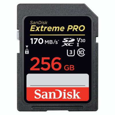 SanDisk Extreme 256GB (SDSDXXY-256G-GN4IN)