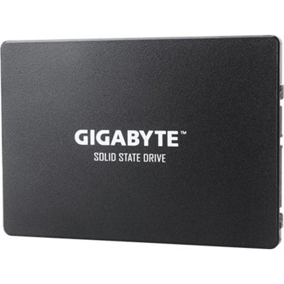 Gigabyte SSD 1TB (GP-GSTFS31100TNTD)