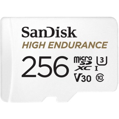 SanDisk High Endurance 256GB