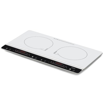 Optimum PW-2100