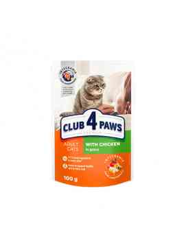KORMOTECH Club 4 Paws Kurczak w Sosie Kot 100 g