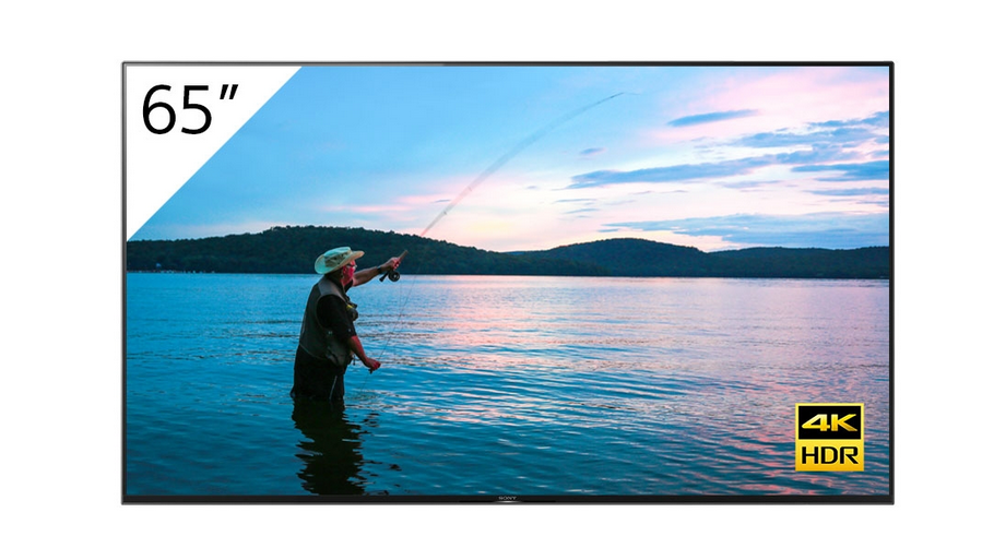 Sony FWD-65X95H/T