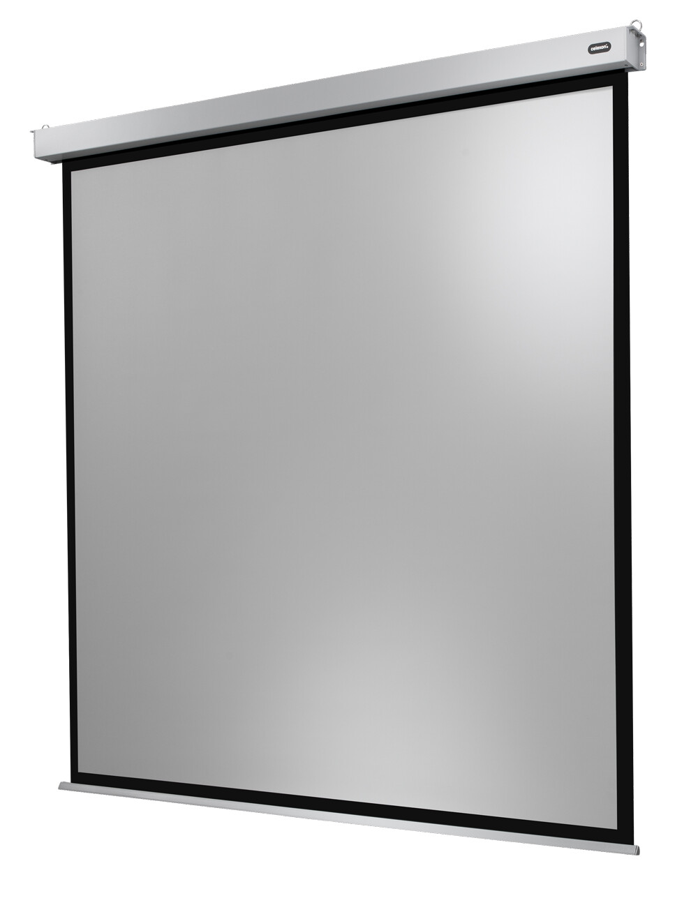 celexon Professional PLUS 280 x 280 cm elektryczny ekran projekcyjny 1:1 (155