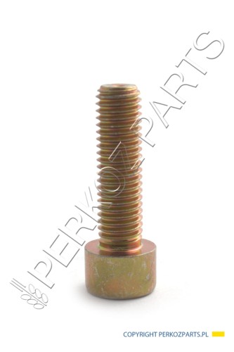 NEW HOLLAND CASE ŚRUBA M10X35-8,8 80300443 NEW HOLLAND / CASE 81869630