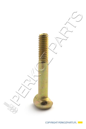 NEW HOLLAND CASE ŚRUBA CASE CNH 87642989 87642989