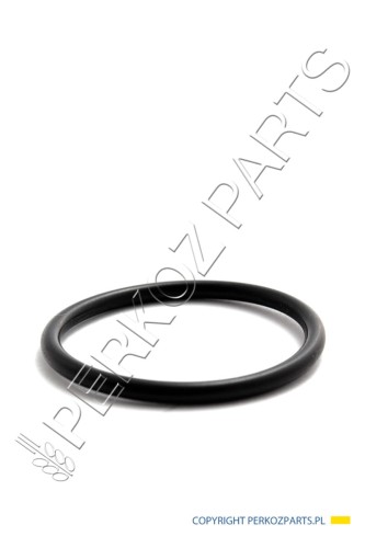 NEW HOLLAND CASE USZCZELKA CASE CNH 153310362 153310362