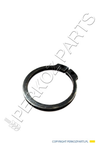 Pierścień sprężysty New Holland CNH 5109282