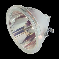 Lampa do TOSHIBA TY-G5U - oryginalna lampa bez modułu