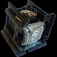 Lampa do OPTOMA TW6000 - oryginalna lampa z modułem