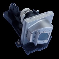 Lampa do OPTOMA BL-FU220C (SP.87M01GC01) - oryginalna lampa z modułem
