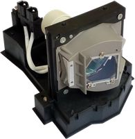 Lampa do ACER EC.J5400.001 - oryginalna lampa z modułem