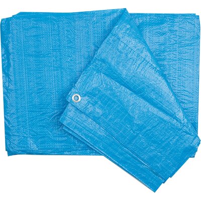 Vorel Plandeka 85060 5 x 8 m)