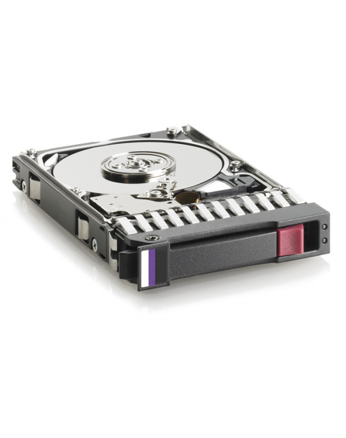 Hewlett Packard Enterprise dysk twardy HP 2TB SAS hard drive - 7,2K, 2,5