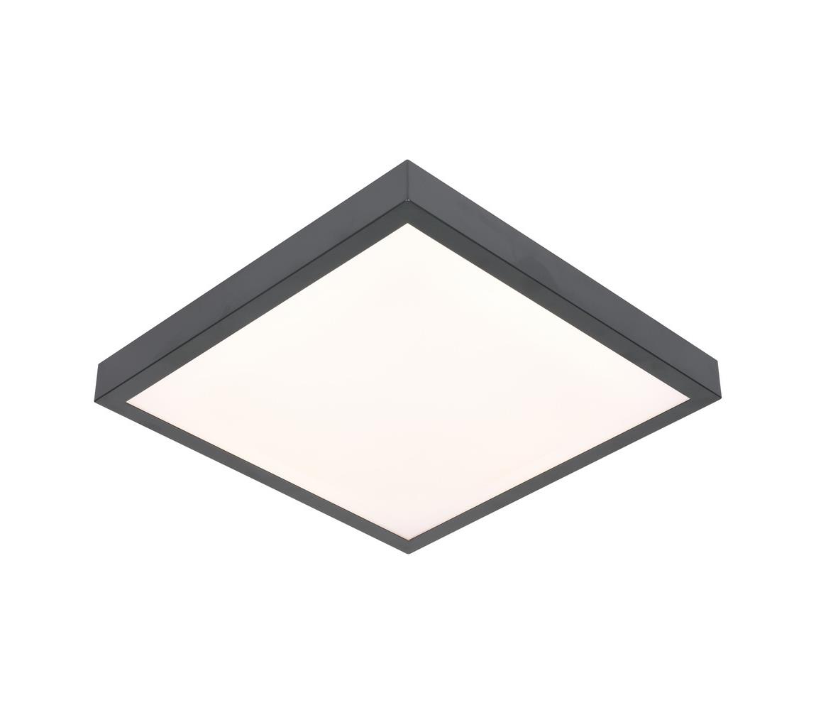 LED Plafon VITALI LED/24W/230V