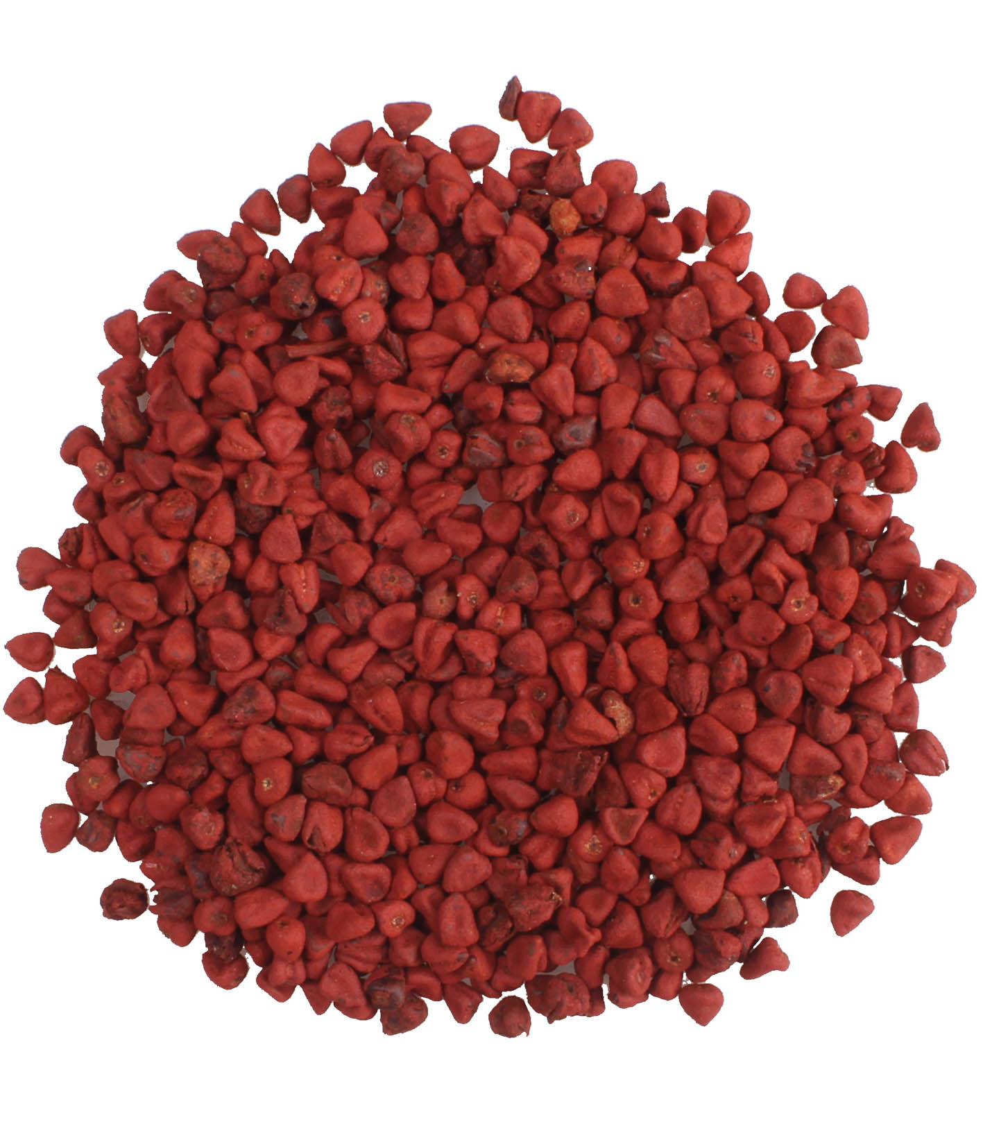 Planteon Annatto nasiona 10kg 2-0262-02-7