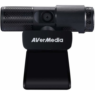 AVERMEDIA PW313