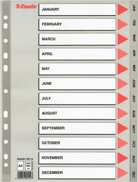 Esselte Album ofertowy Vivida A4, 20 koszulek 10K095B