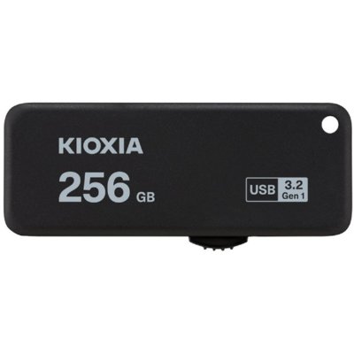 KIOXIA U365 (LU365K256GG4)