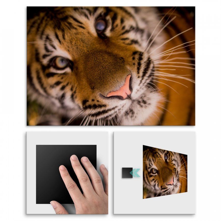 Pix4home Plakat metalowy przyjazny tygrys L POS-L-01782