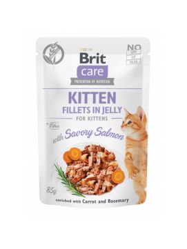 Brit Care Cat Kitten Fillets in Jelly Savory Salmon 85 g Łosoś