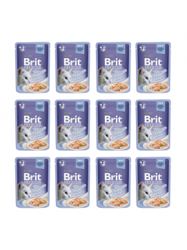 Brit Premium Kot Premium with Salmon Fillets for Adult Cats JELLY 85g