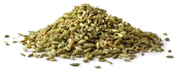 EQUIHERBS Koper włoski 0,5 kg