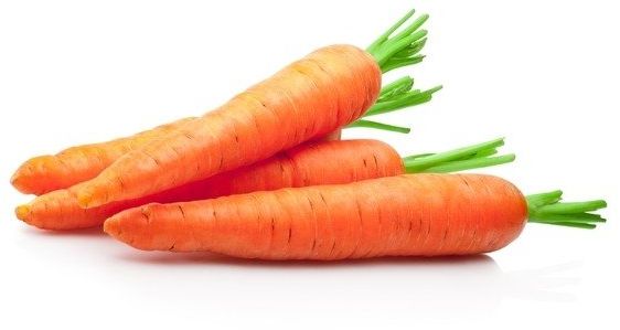 EQUIHERBS Marchew 0,5 kg