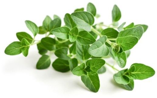 EQUIHERBS Oregano 0,5 kg