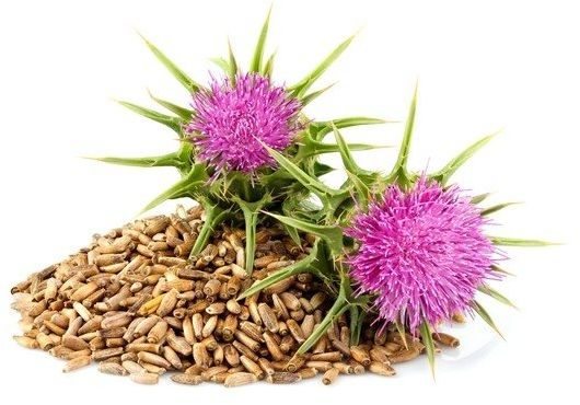 EQUIHERBS Ostropest plamisty 1 kg