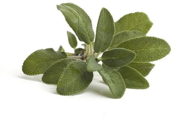 EQUIHERBS Szałwia 0,2 kg