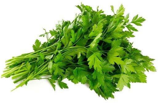 EQUIHERBS Pietruszka liść 1 kg -