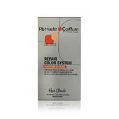 Renee BLANCHE BLANCHE HAUTE COIFFURE Repair Color System - Dwuskładnikowy dekoloryzator - ściagacz do włosów 2x100ml