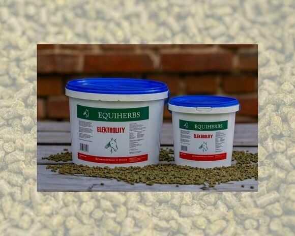 EQUIHERBS Elektrolity 2 kg - granulat