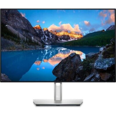 Dell U2421E Srebrny (210-AXMB)