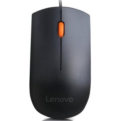 Lenovo 300 (GX30M39704)