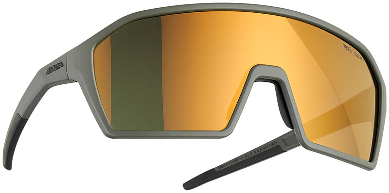Alpina Alpina Ram HM+ Glasses, szary  2022 Okulary 8673021