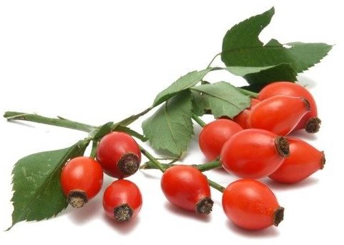 EQUIHERBS Dzika róża 2,5 kg