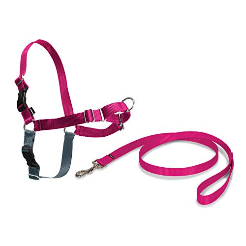 PetSafe Petsafe Ew-H-L-Ras-19 Easy Walk Geschirr, Mittel, L, Himbeer Rosa